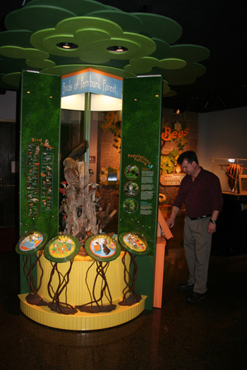 Bird Exhibit