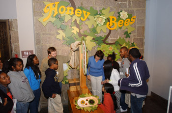 Honey Bees