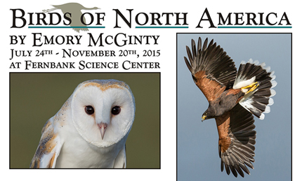 Birds of North America