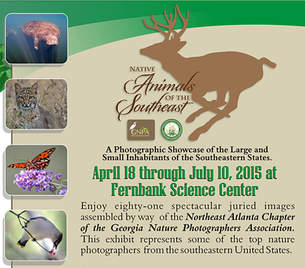 Native Animals of S.E. Photography Exhibit