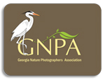 GNPA Photo Contest at FSC
