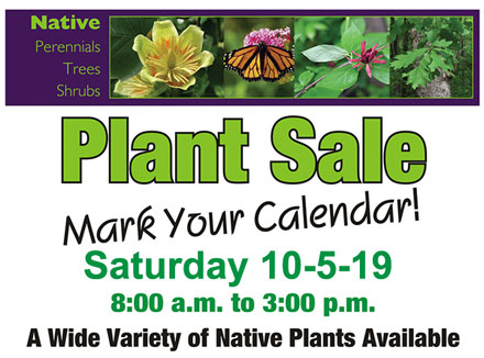 Fall Plant Sale