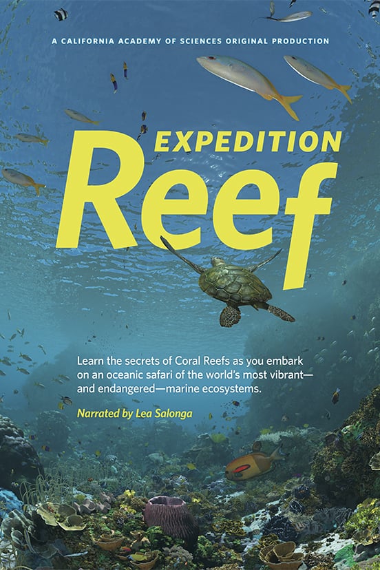 Expedition Reef Planetarium Show at Fernbank Science Center